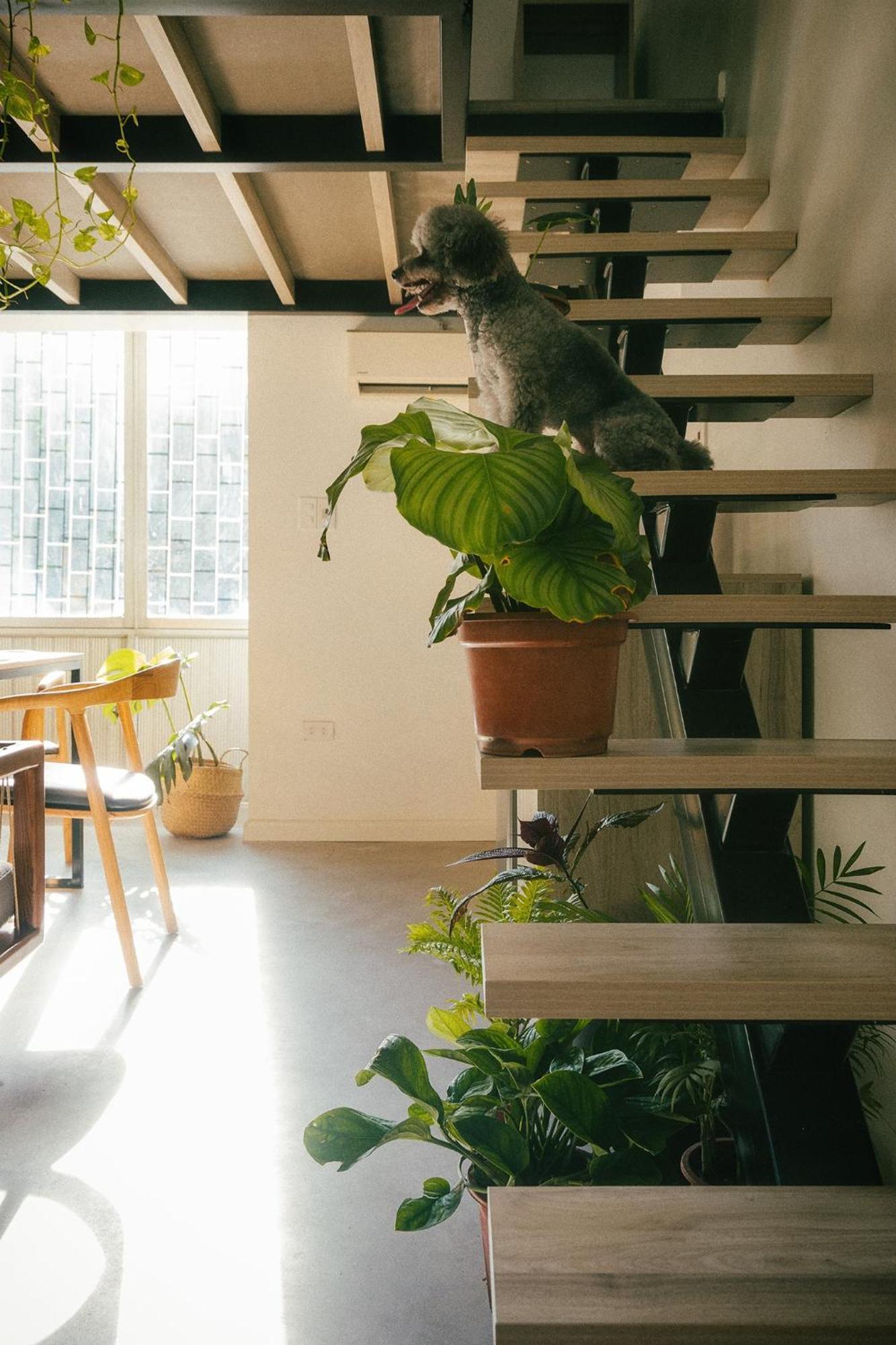 Anya Premier Apartments-City View With Big Balcony-Free Laundry Hanoi Esterno foto